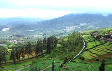 Ooty